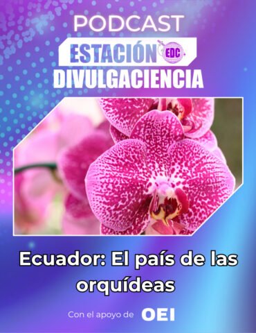Divulgaciencia: Ecuador: El país de las orquídeas