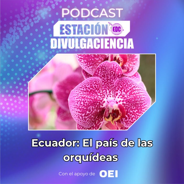 Divulgaciencia: Ecuador: El país de las orquídeas